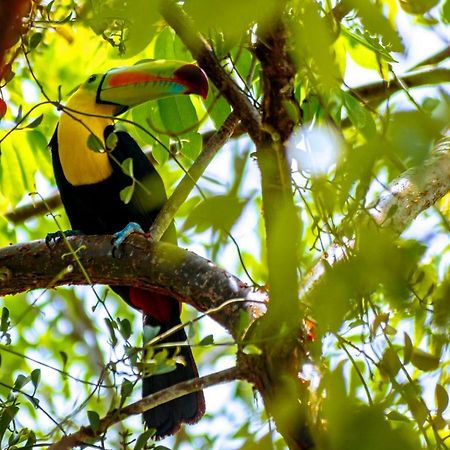 Laguna Yaxha Ecolodge El Sombrero المظهر الخارجي الصورة